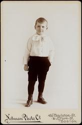 Portrait of a Boy, standing, without cap