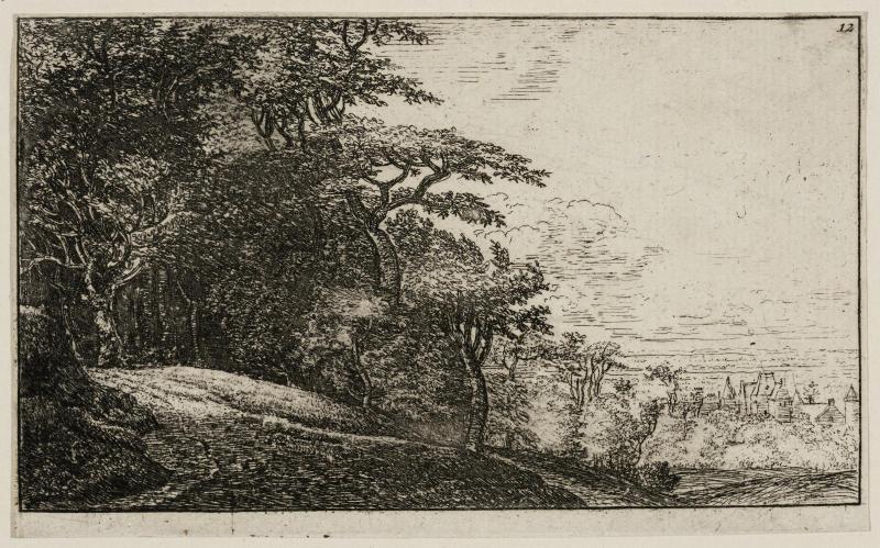 Entrance to a Wood