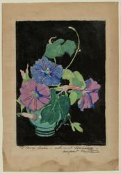 Morning Glories