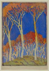 Trees on the Hilltop