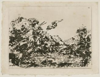 A blot of the first (to 16th) kind of composition of landscape