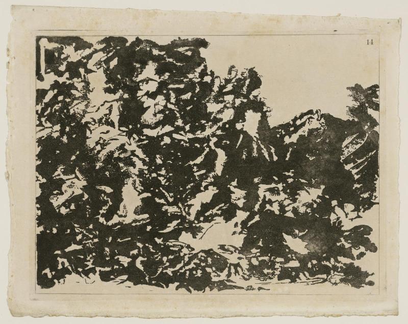 A blot of the first (to 16th) kind of composition of landscape