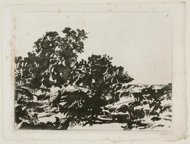 A blot of the first (to 16th) kind of composition of landscape
