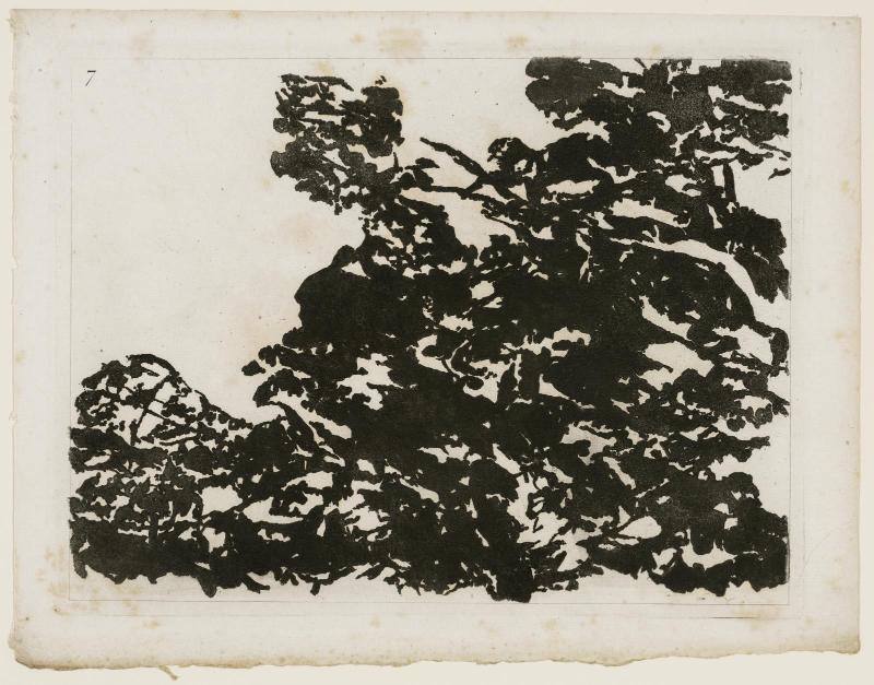 A blot of the first (to 16th) kind of composition of landscape
