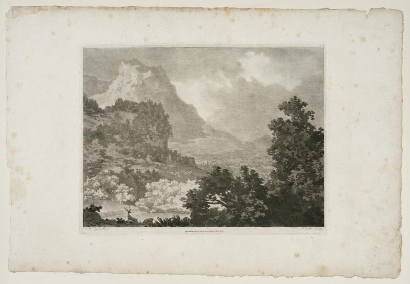 A print representing a drawing made from the blot on plate 40