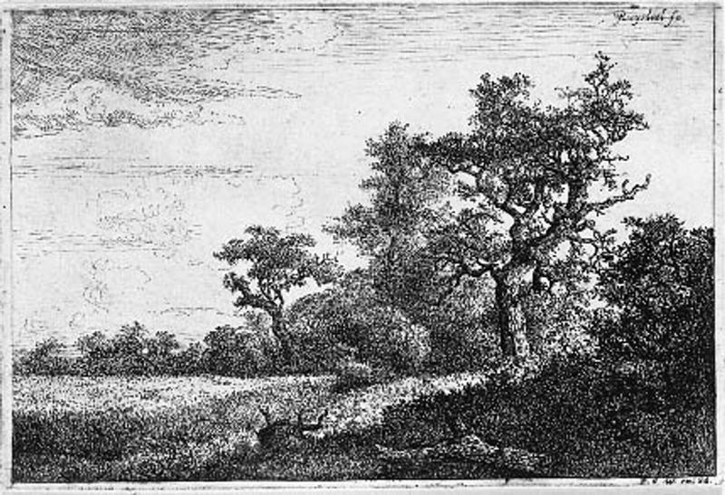 The Wheat Field