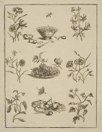 Nine spot, flowers and fruit