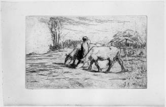 Woman with Two Cows