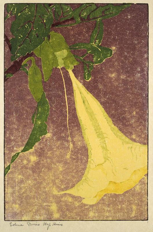 Datura