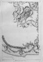 pl. LXXX VIII