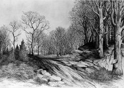 Approach of Spring