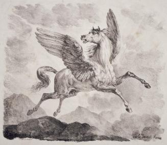 Pegasus