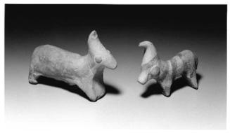 Group shot: 36.2210, 36.2213