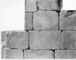 Narrow wall opposite false door; register 2: mating cattle; register 3-left: dogs, right: man l…