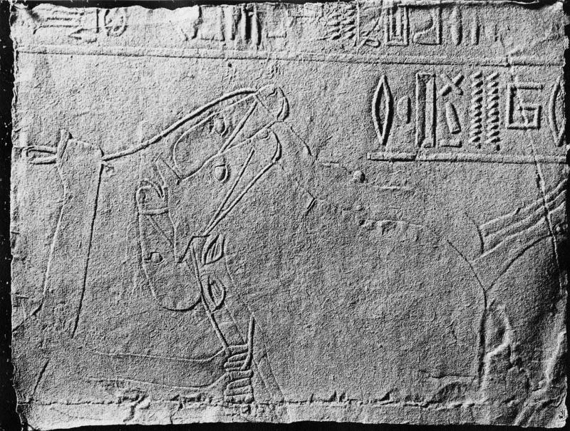 Squeeze: relief from the Tomb of Khaemhat at Thebes