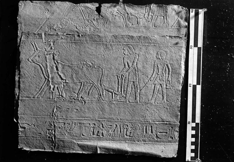 Squeeze: relief from the Tomb of Khaemhat at Thebes
