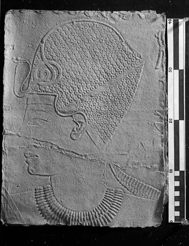 Squeeze: relief from the Tomb of Khaemhat at Thebes