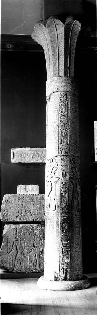 Palm-capital column