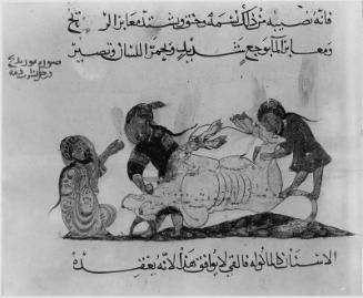 Arabic translation of the Materia Medica by Dioscorides: Two Men Preparing to Quarter an Ox