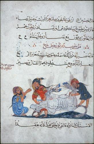 Arabic translation of the Materia Medica by Dioscorides: Two Men Preparing to Quarter an Ox