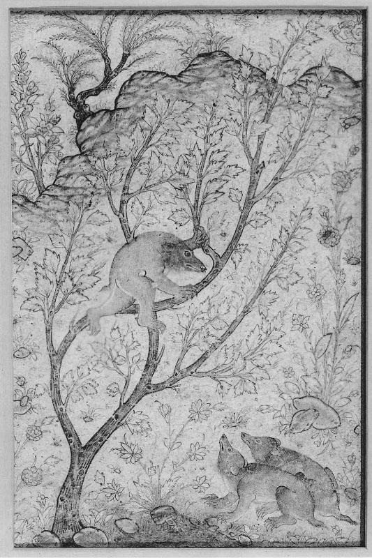 Young bears In a landscape