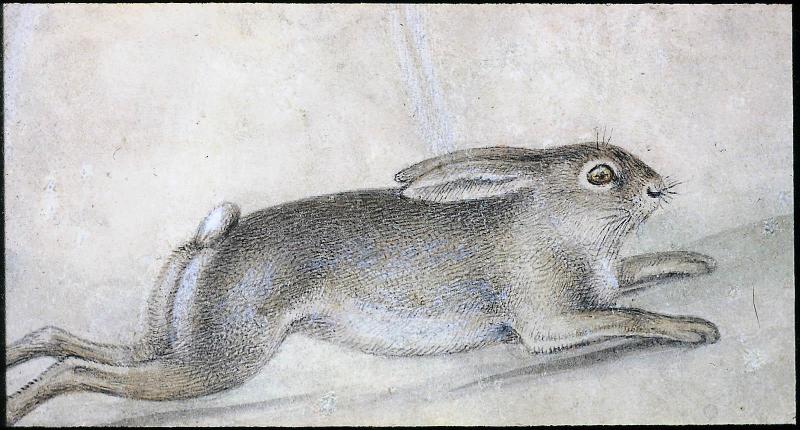Running Hare