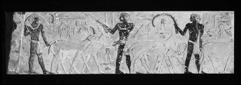 Procession of men with gazelles and other animals; Saqqara, Old Kingdom
