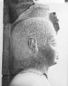 Head