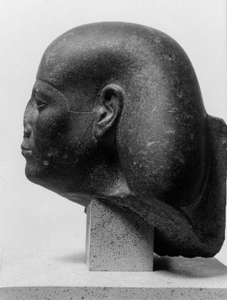 Head of a man