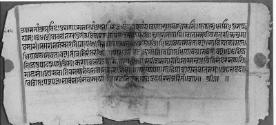 Folio 8
