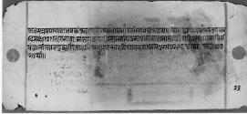 Folio 23