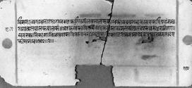 Folio 19