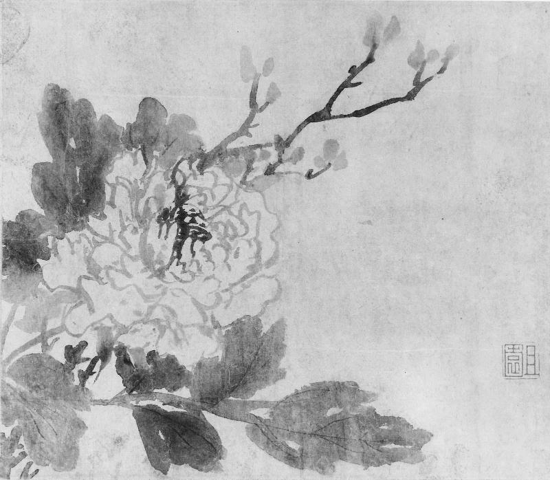 Album of flowers