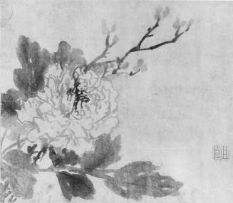 Album of flowers