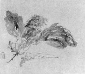 Album of flowers