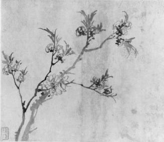 Album of flowers