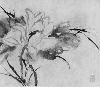 Album of flowers
