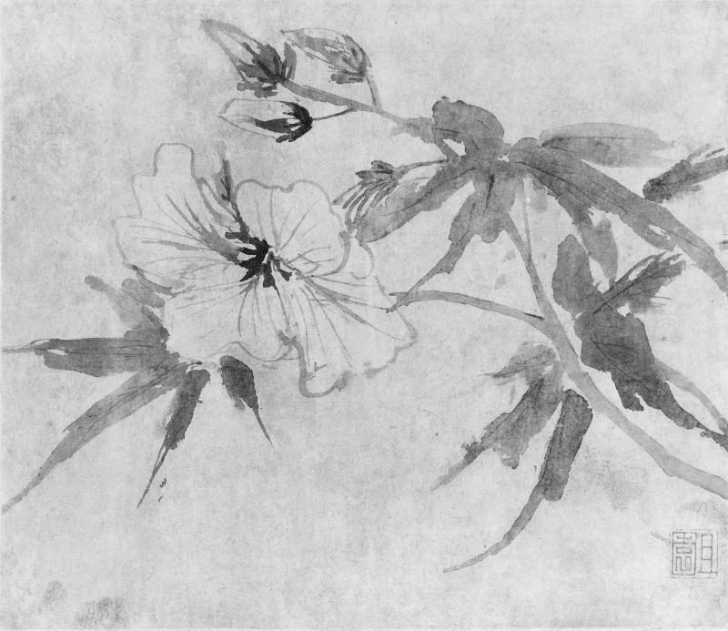Album of flowers