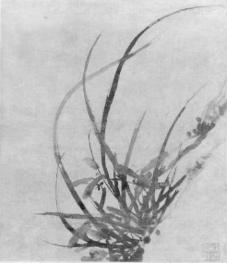 Album of flowers