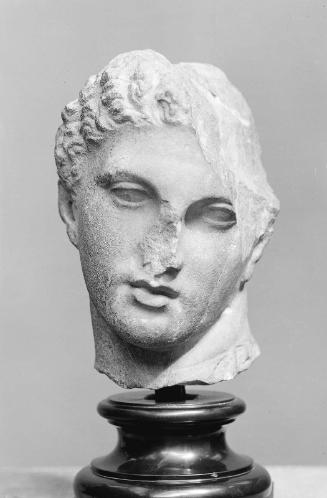 Head of a youth