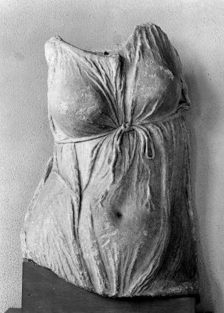 Female torso