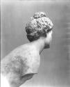 Bust
