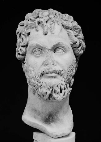 Head of Septimius Severus