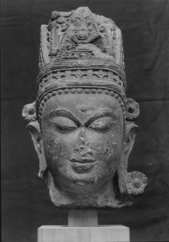 Head