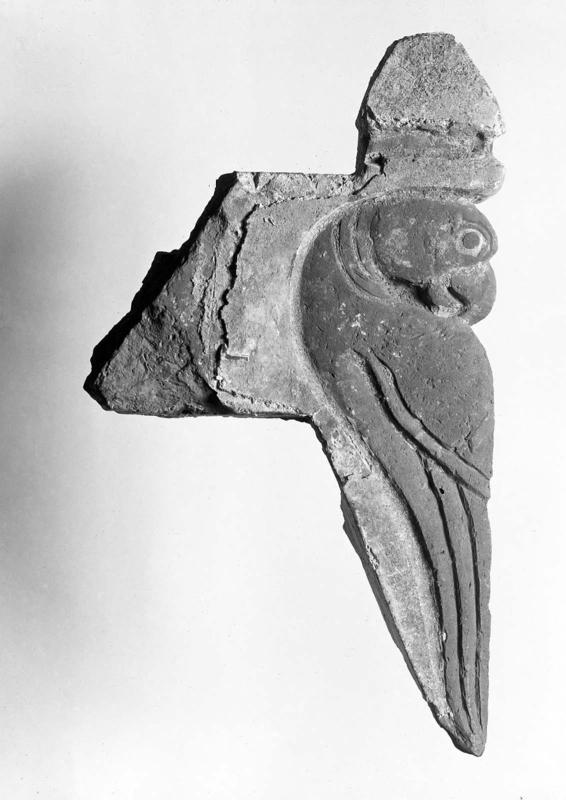 Architectural ornament: Parrot