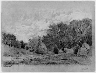 Wooded Landscape