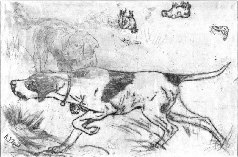 Two Bird Dogs and Other Studies