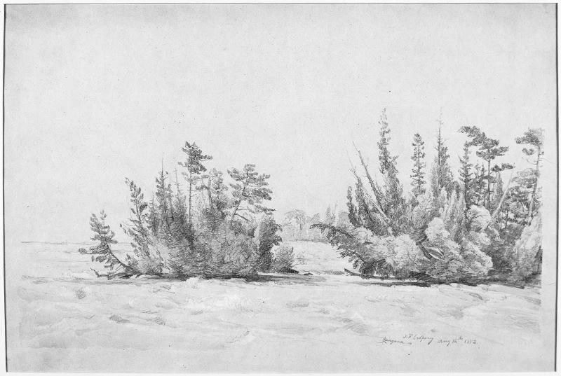Rapids above Niagara