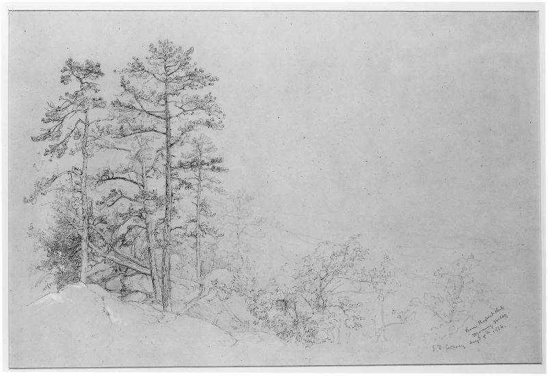 Wyoming Valley from Prospect Rock  Aug. 8th 1864