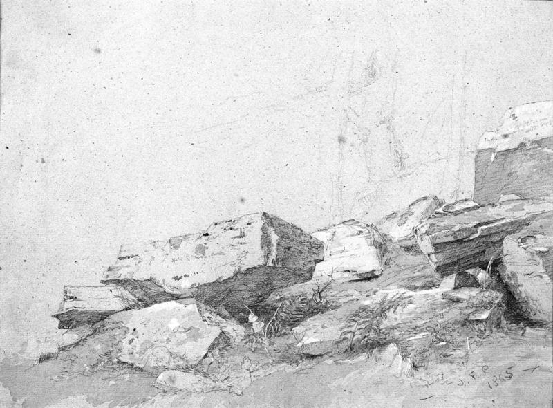 Rocks and Ferns